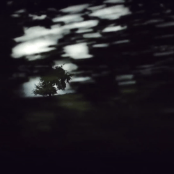 lise lang-willar hermès-Rodrigo Pessoa 1.gif