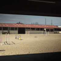 lise lang-willar hermès-Simon Delestre 2.gif