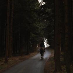 lise lang-willar hermès-Romain Duguet 3.gif