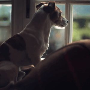 lise lang-willar hermès-Alexandra Paillot 2.gif