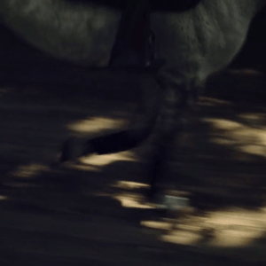 lise lang-willar hermès-Alexandra Paillot 3.gif