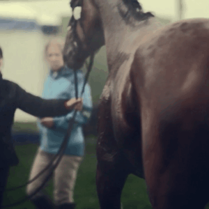 lise lang-willar hermès-Astier Nicolas 1.gif