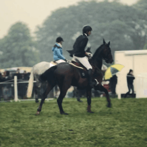 lise lang-willar hermès-Astier Nicolas 2.gif