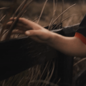 lise lang-willar hermès-Ben Asselin 2.gif