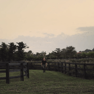 lise lang-willar hermès-Ben Asselin 4.gif