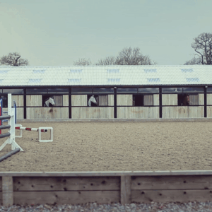 lise lang-willar hermès-Dan Neilson 1.gif