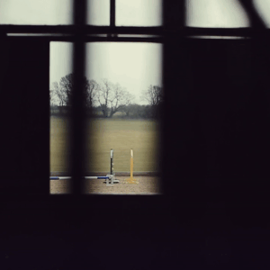 lise lang-willar hermès-Dan Neilson 2.gif