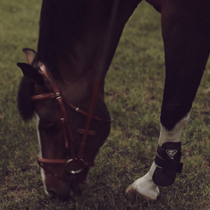 lise lang-willar hermès-Dan Neilson 3.gif