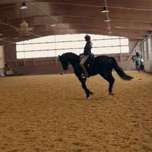 lise lang-willar hermès-Jessica Von Bredow-Werndl 3.gif