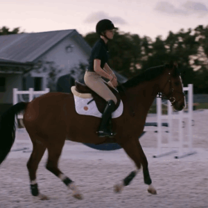 lise lang-willar hermès-Lillie Keenan 3.gif