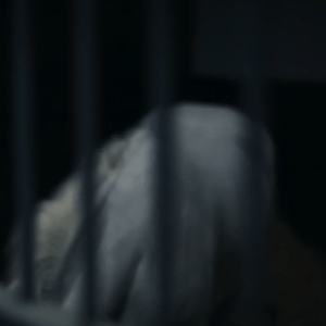 lise lang-willar hermès-Lillie Keenan 1.gif