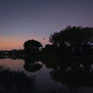 lise lang-willar hermès-Lillie Keenan 4.gif