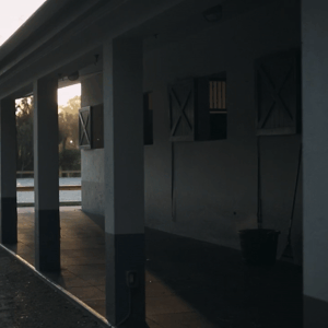 lise lang-willar hermès-Lillie Keenan 5.gif