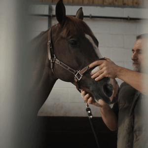 lise lang-willar hermès-Pedro Veniss 2.gif