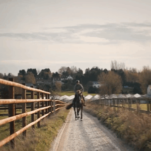 lise lang-willar hermès-Pedro Veniss 4.gif