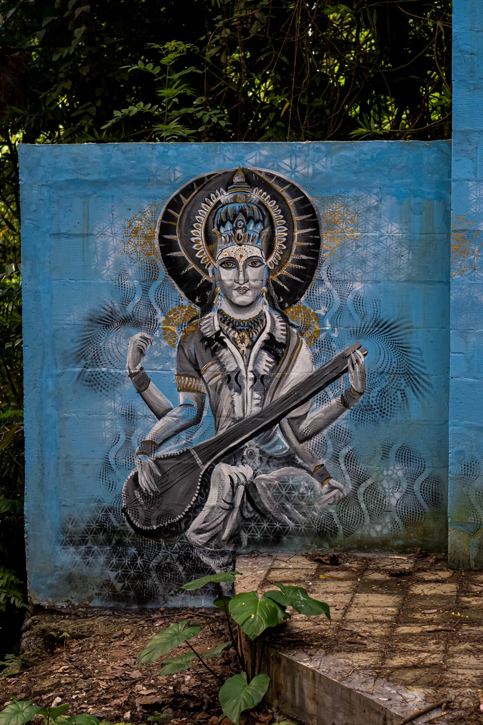 DSC09593.jpeg