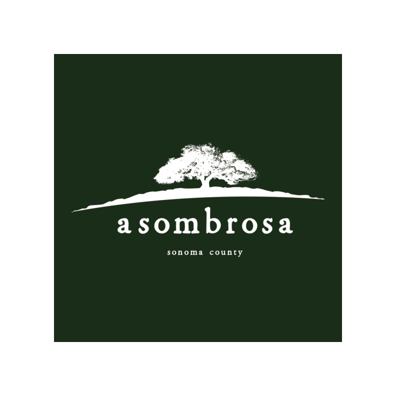 asombrosa_.png