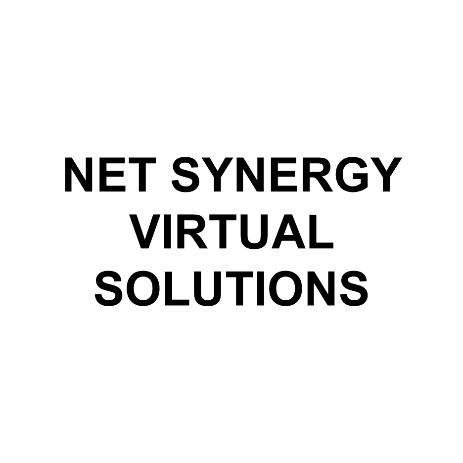 NET-SYNERGY-VIRTUAL-SOLUTIONS.png