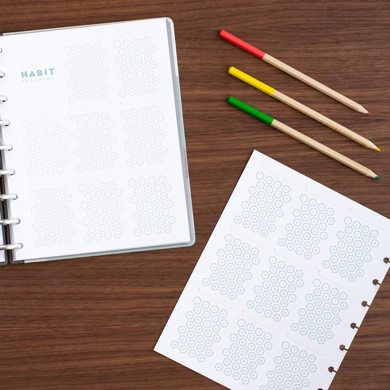 goal-setting-daily-planner-habit-tracker_800x.jpg