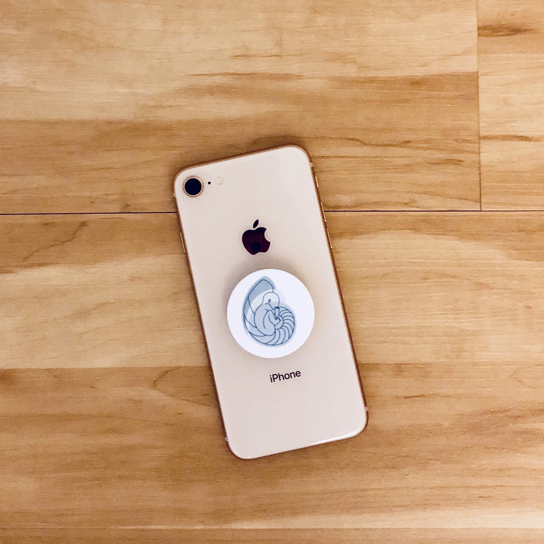PopSocket1.jpg