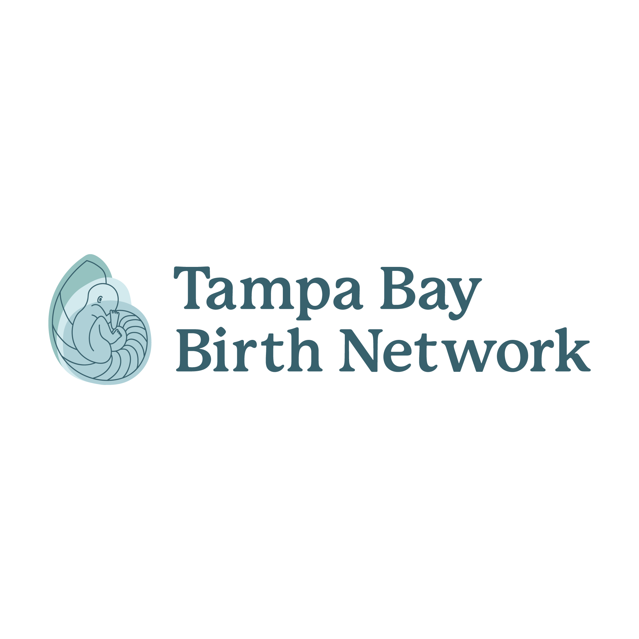 Tampa Bay Birth Network