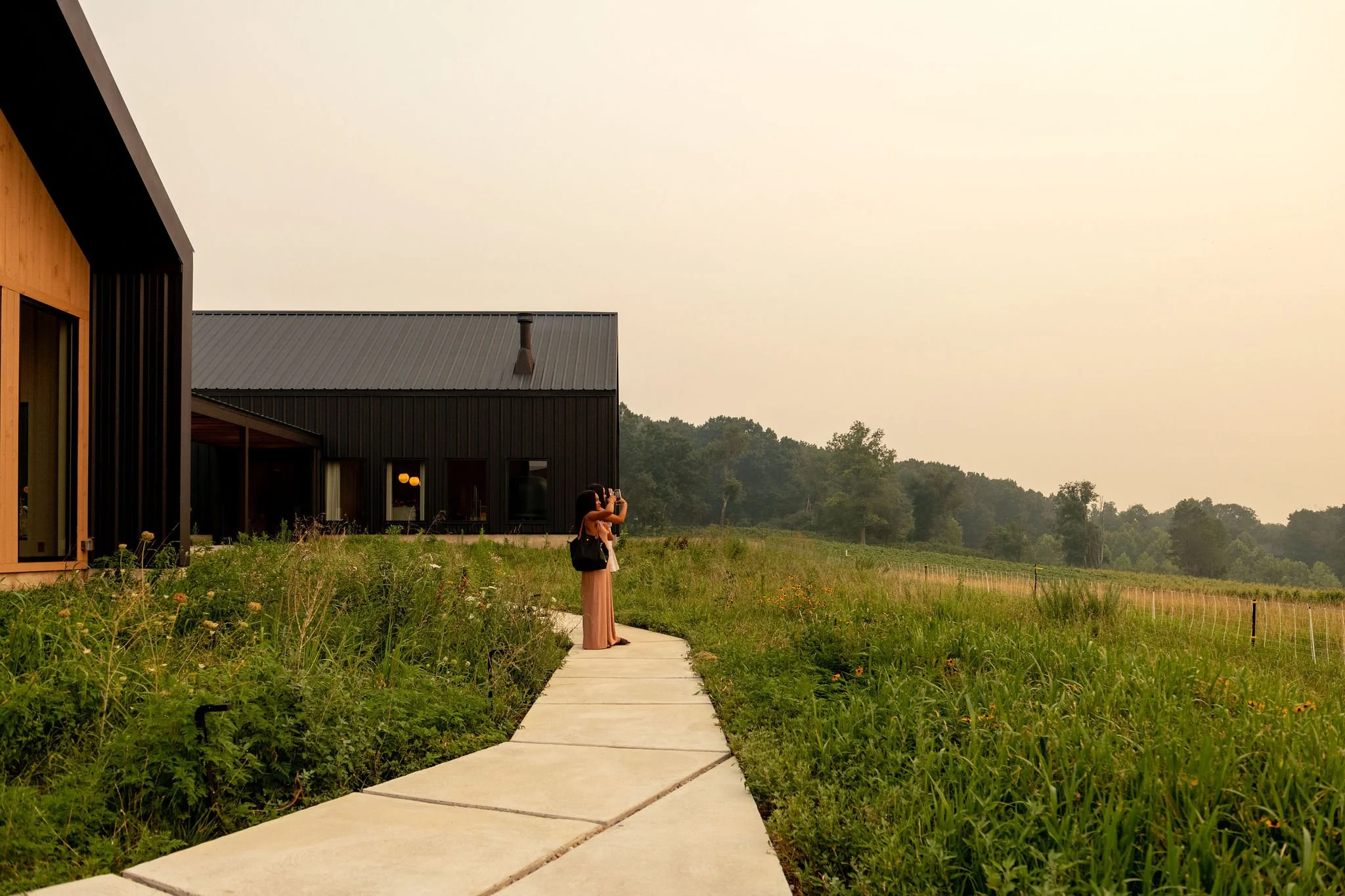 BurntHillFarm_071726_3669.jpg
