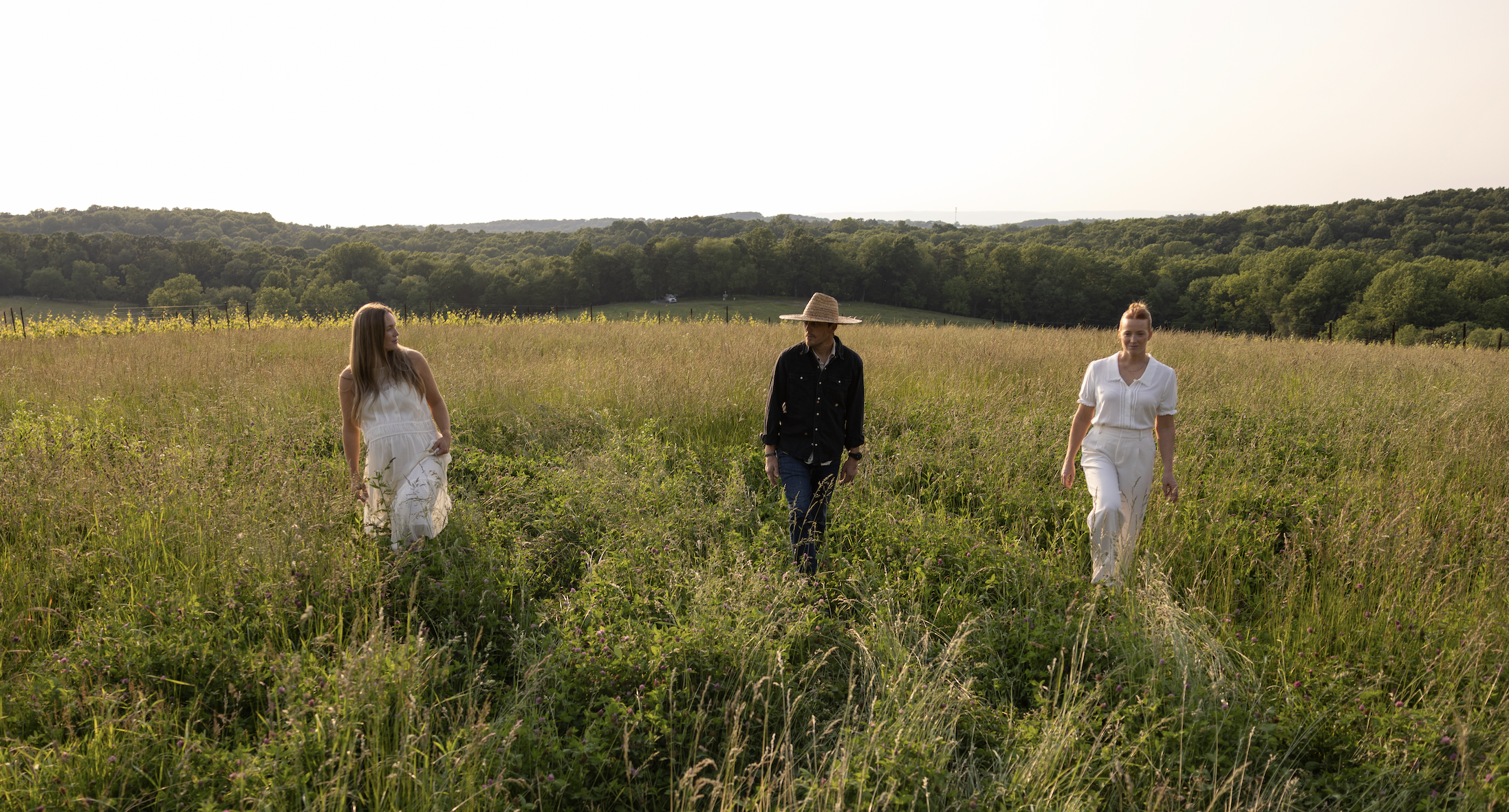 A Year at Burnt Hill Farm