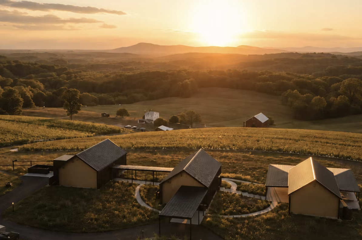A Year At Burnt Hill
