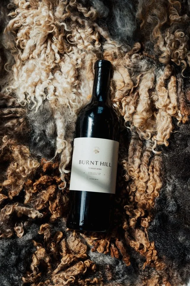 The September Allocation