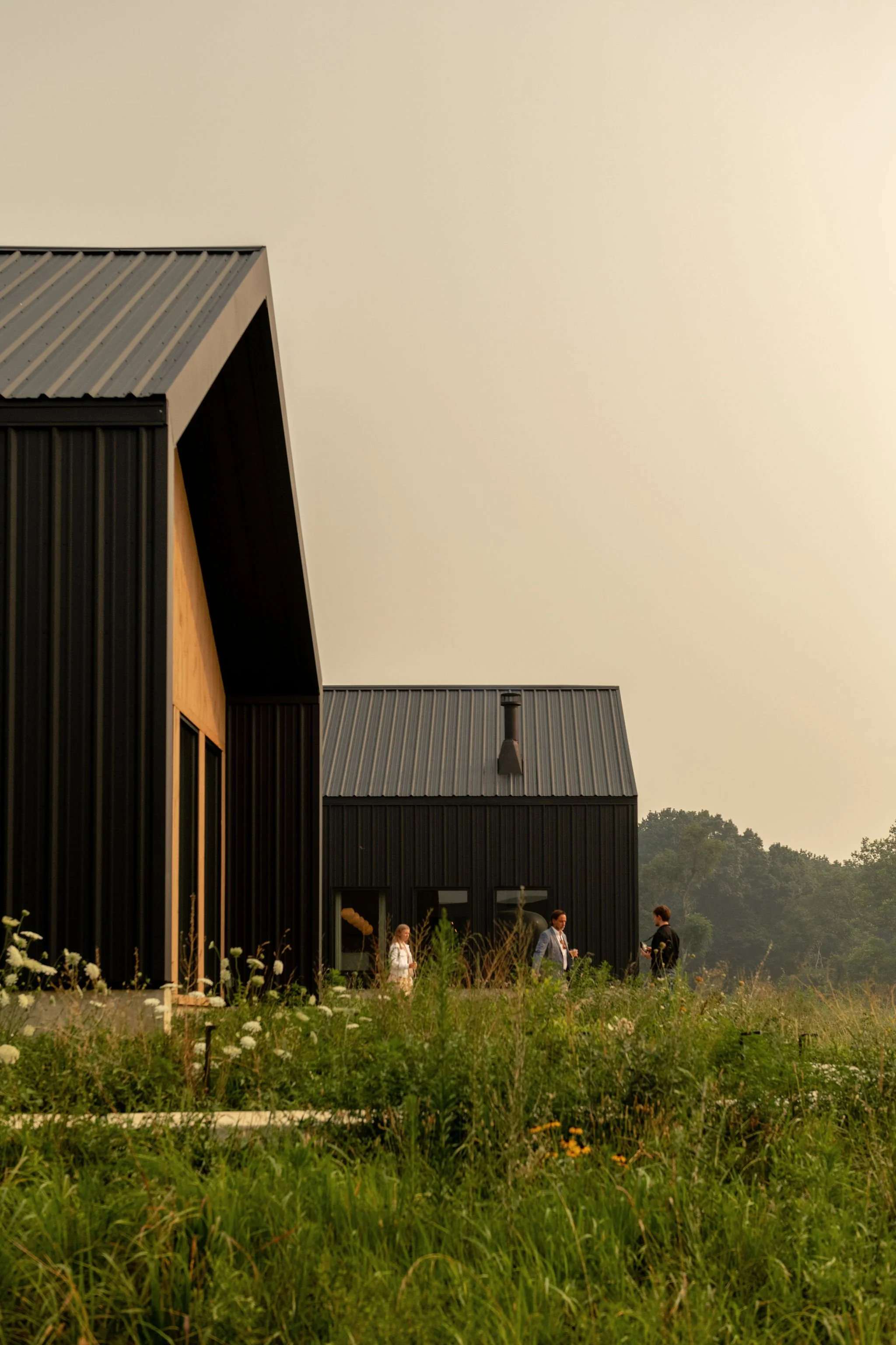 BurntHillFarm_071726_3221.jpg