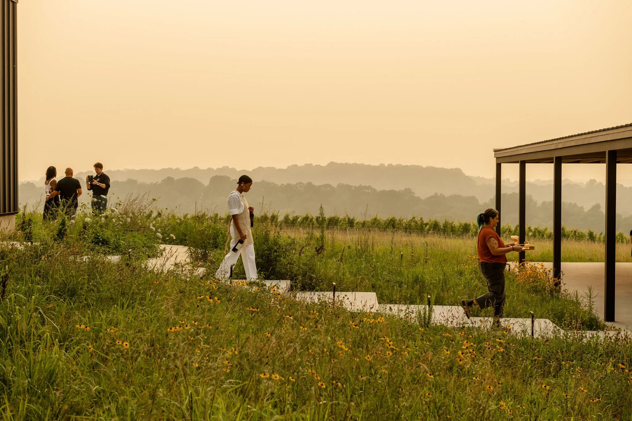 BurntHillFarm_071726_3517.jpg