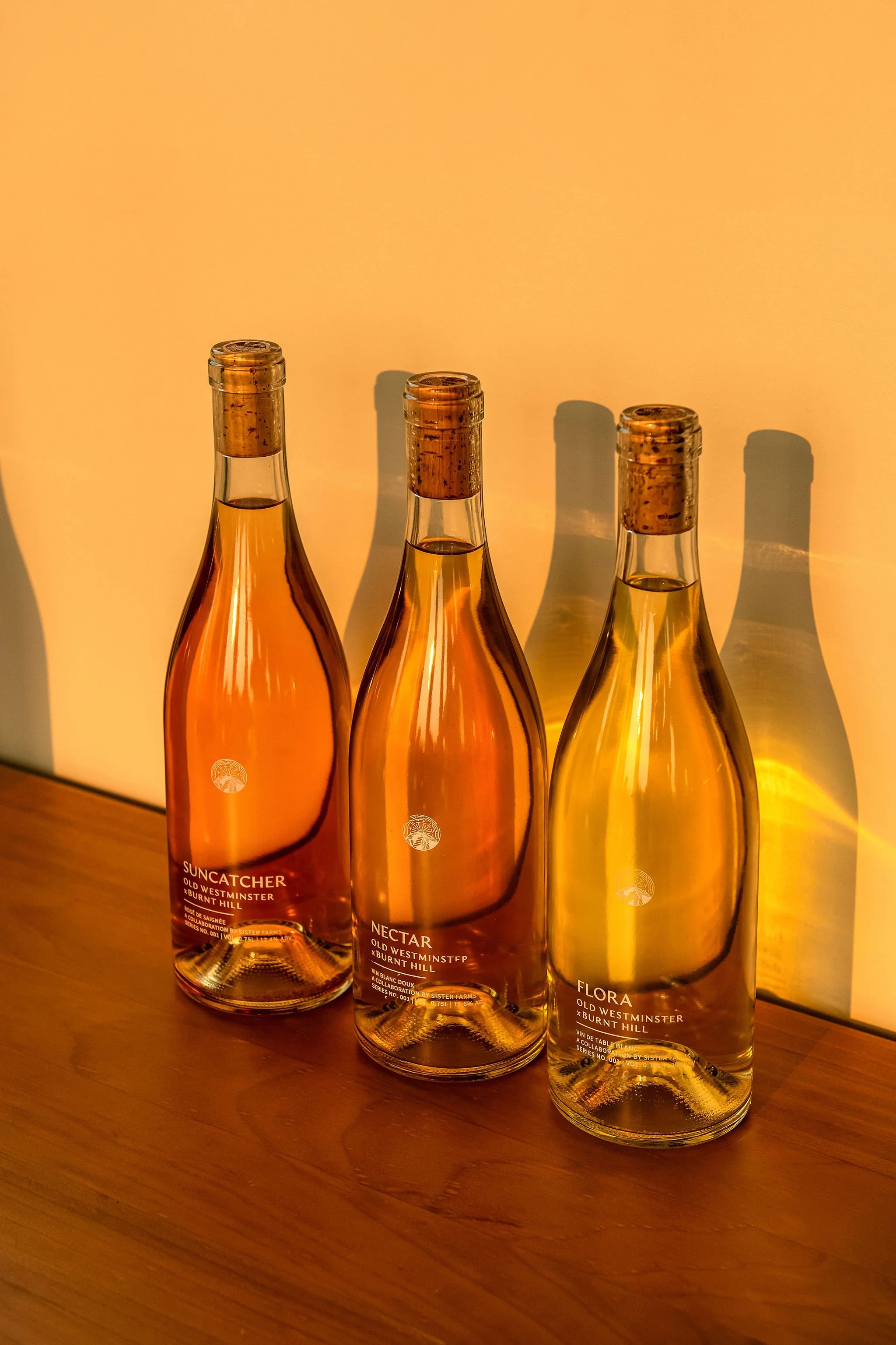BurntHillFarm_071726_3485.jpg