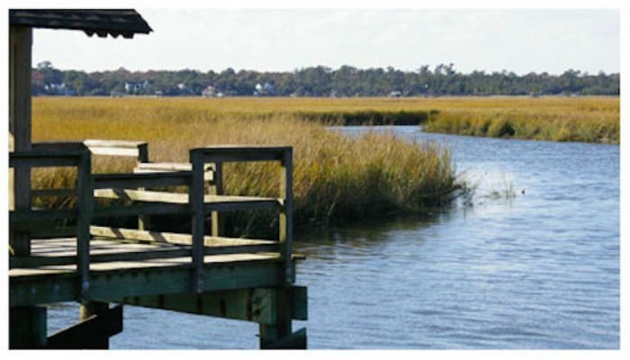 Charleston-sc-James-Island-County-Park-Featured-Image-T-CP-700x400.jpg