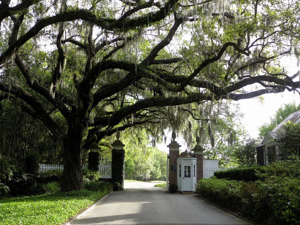 yeamans-hall-plantation-gate.jpg