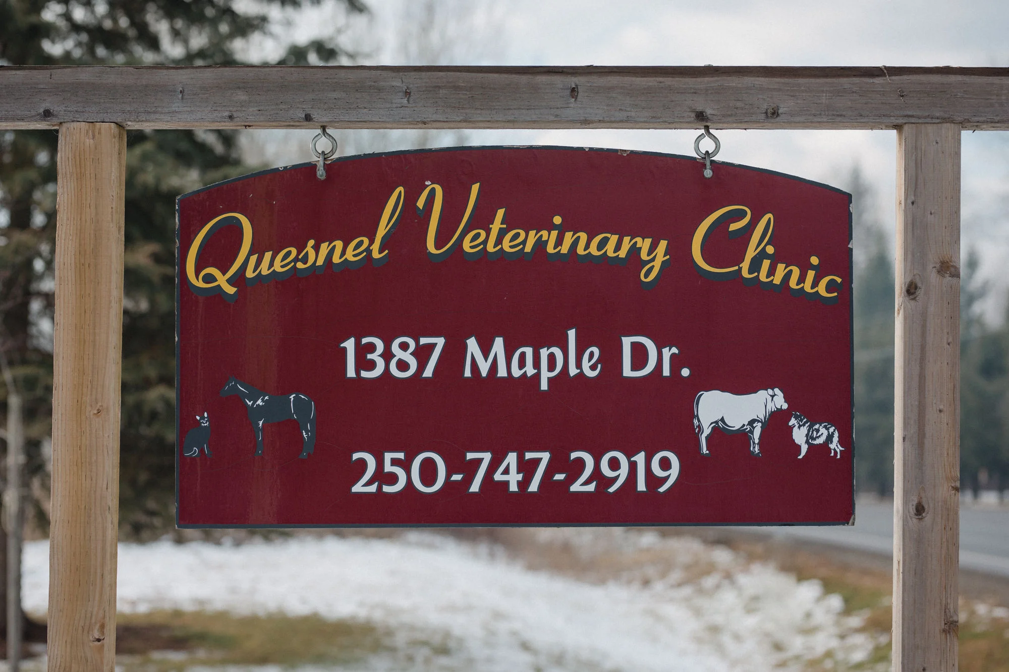 Emergency Vet Quesnel Cow, Dog, & Cat Care Quesnel Veterinary Clinic