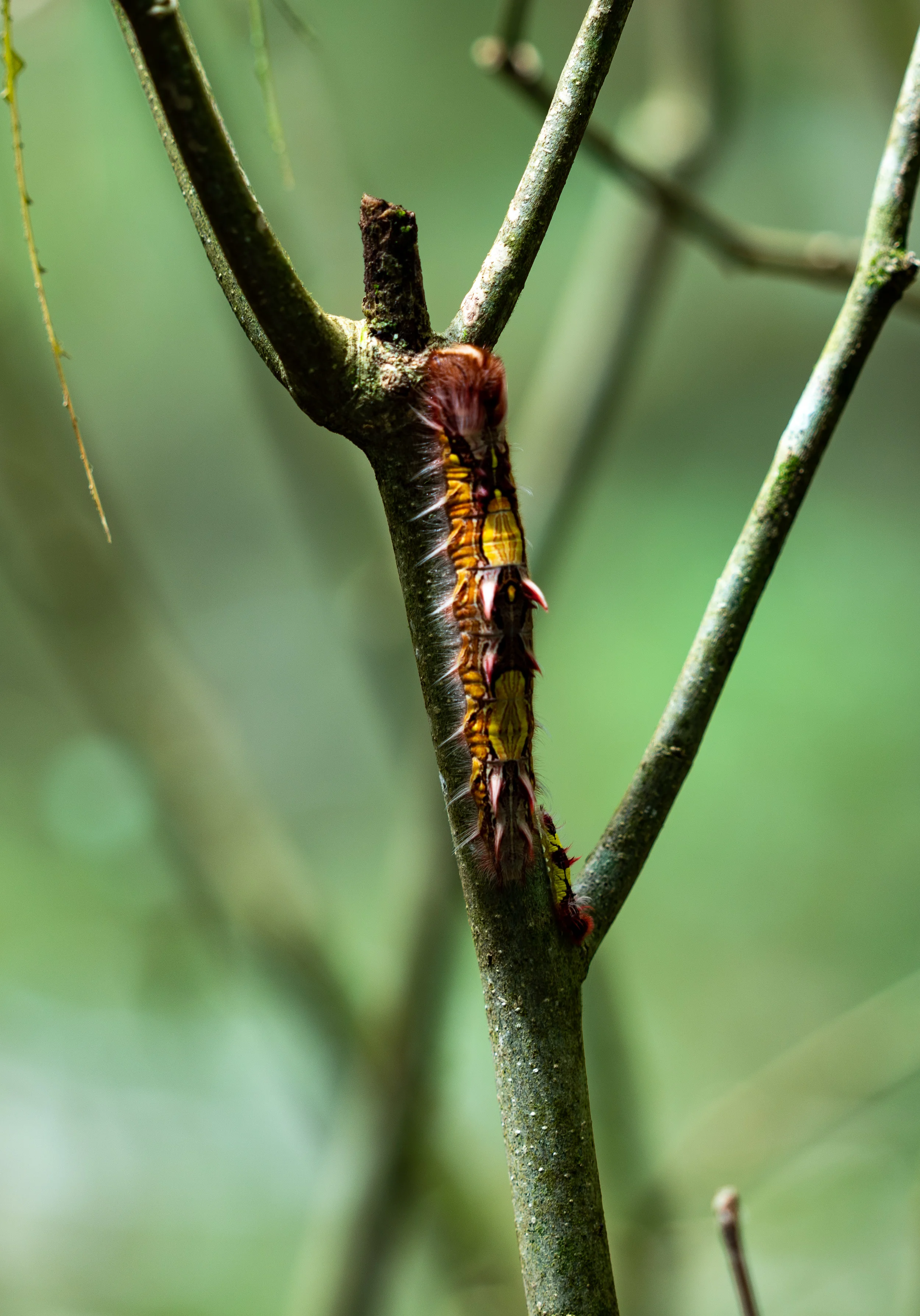 web.COSTA RICA.22-.jpg