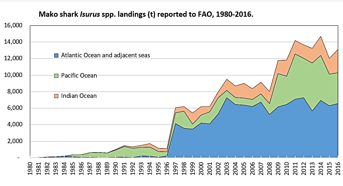 Global landings of mako sharks since 1980 | FishstatJ, 2018