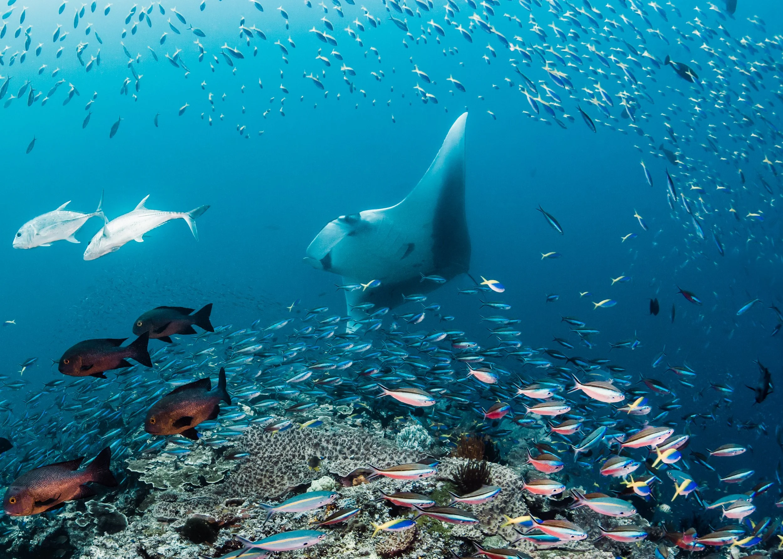 ShawnHeinrichs-20161212-130911-_B4V7377-Edit.jpg