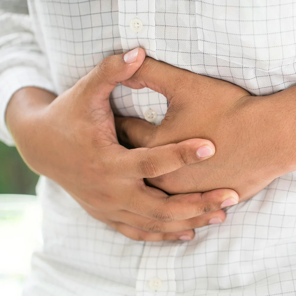 Digestive.jpg