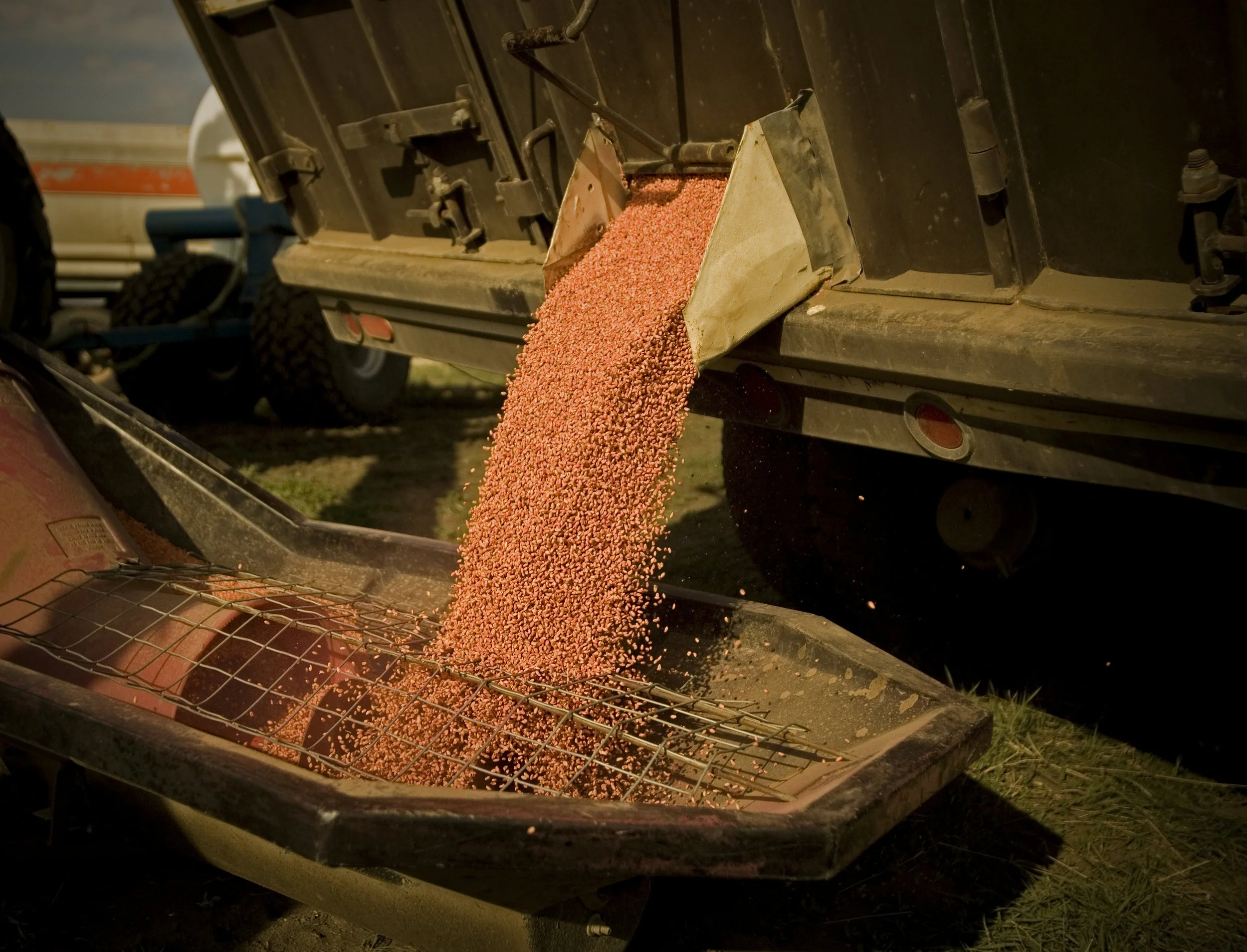 iStock_000003439105Large.jpg