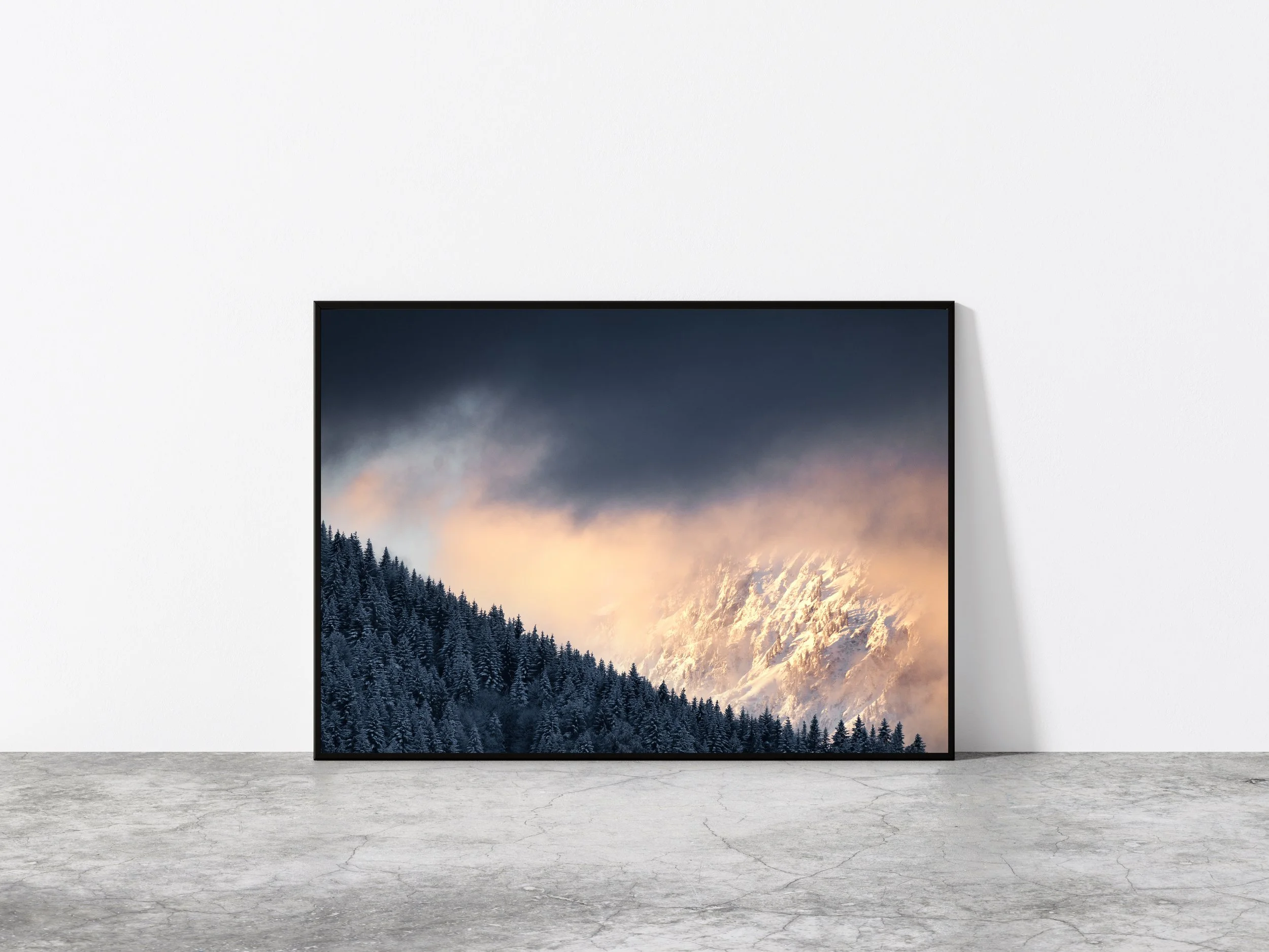 AdobeStock_313749074jkjkj copied.jpg