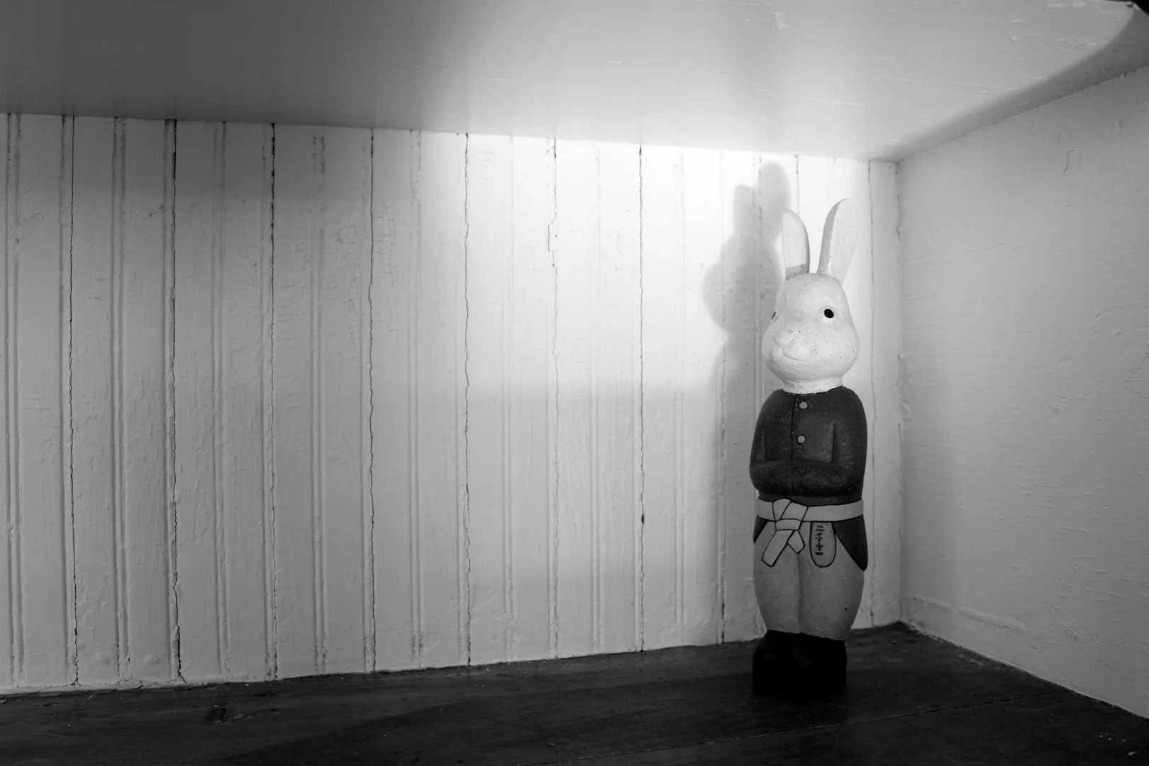 Maida_how big is bunny.jpg