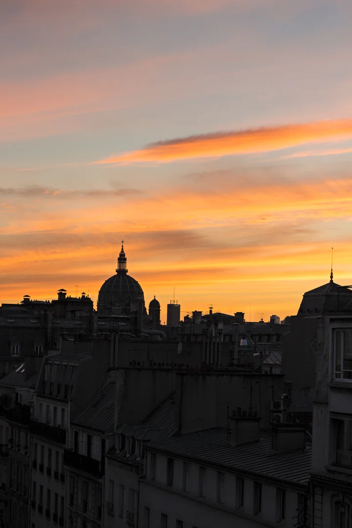 ParisRoofs.jpg