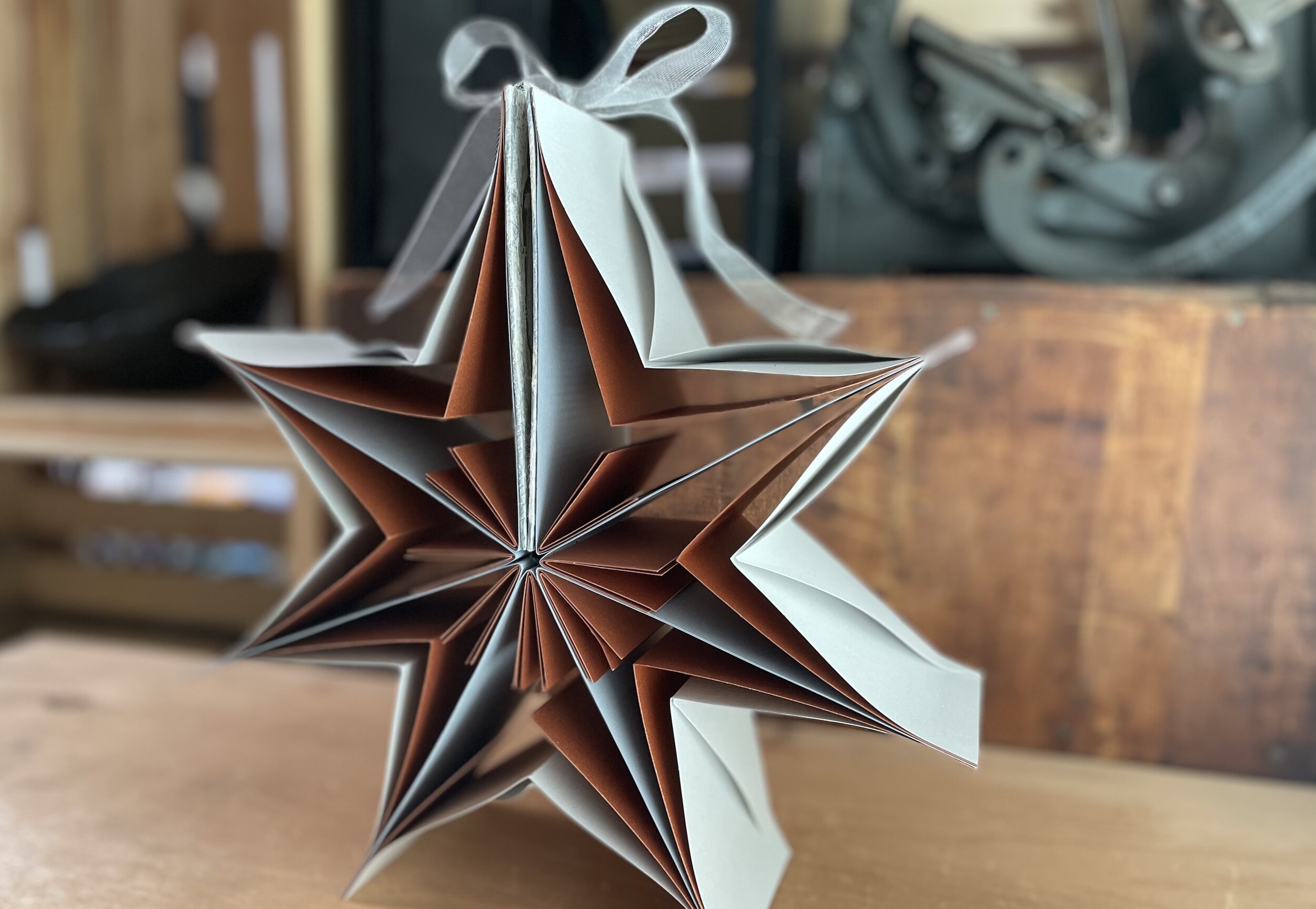 Book Arts Roadshow - Star Book Ornament - RECTANGLE - IMG_8374 - resized.JPG