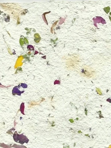 Paper Making Class with Frances Jackson