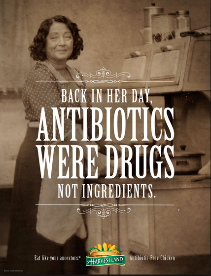  Photographer: Stephen Berkman 