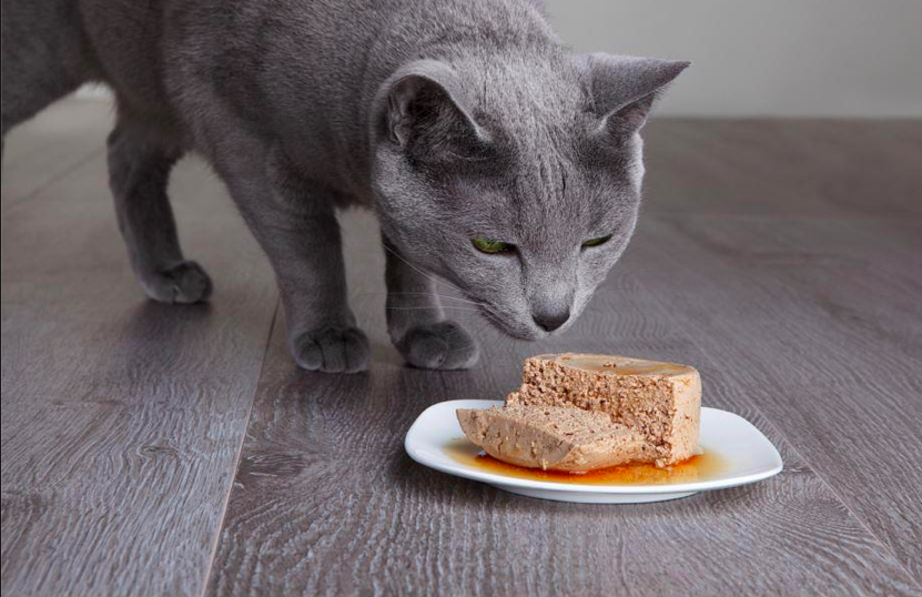  Photographer: Brian Steege 