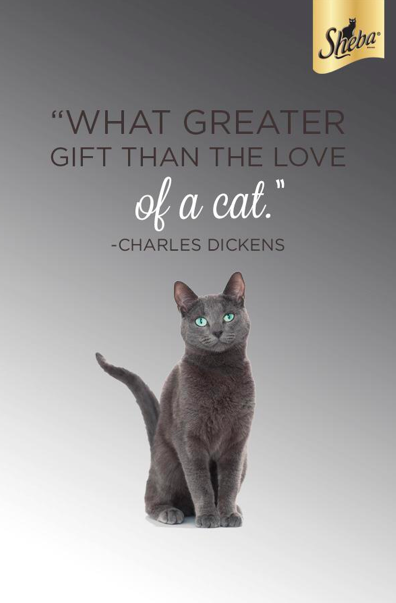  Photographer: Brian Steege 