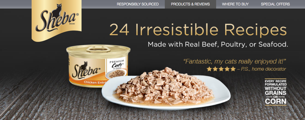  Photographer: Brian Steege 