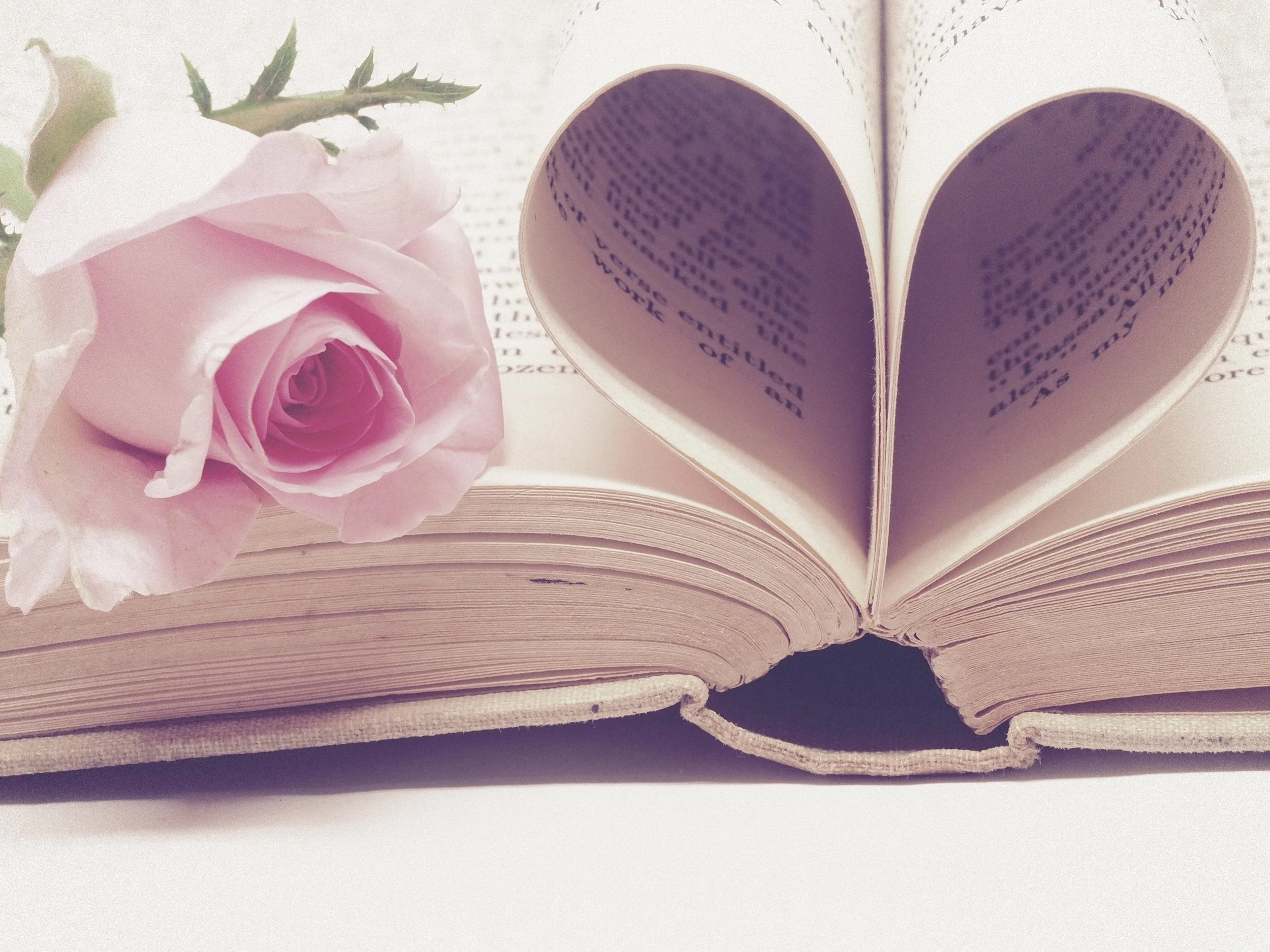 literature-3060241.jpg